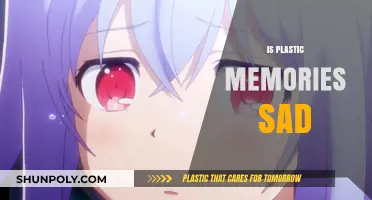 Echoes of Sorrow: The Melancholy Truth Behind Plastic Memories