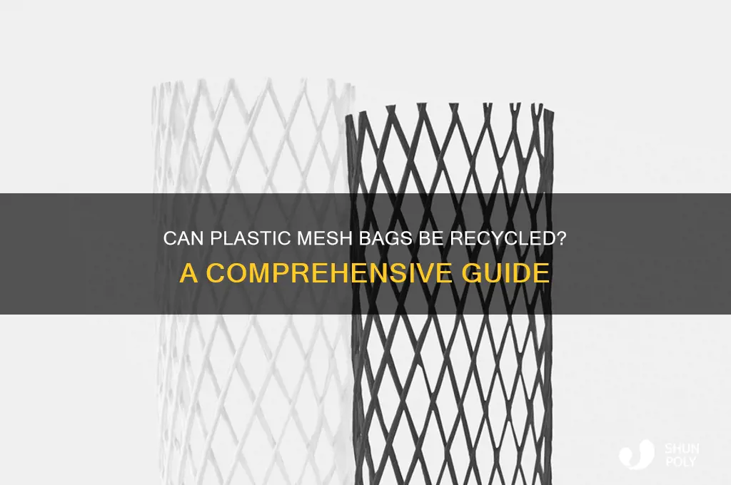 is plastic mesh bags recyclable