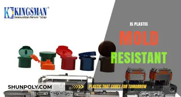 Decoding Plastic's Durability: Is It Truly Mold-Resistant?