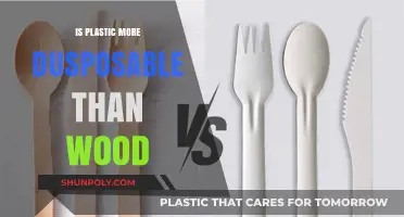 Plastic vs Wood: Which is More Disposable?