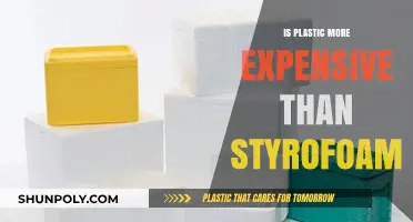 Plastic vs Styrofoam: Cost and Environmental Impact