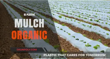 Exploring the Eco-Friendly Alternatives: Is Plastic Mulch Organic?