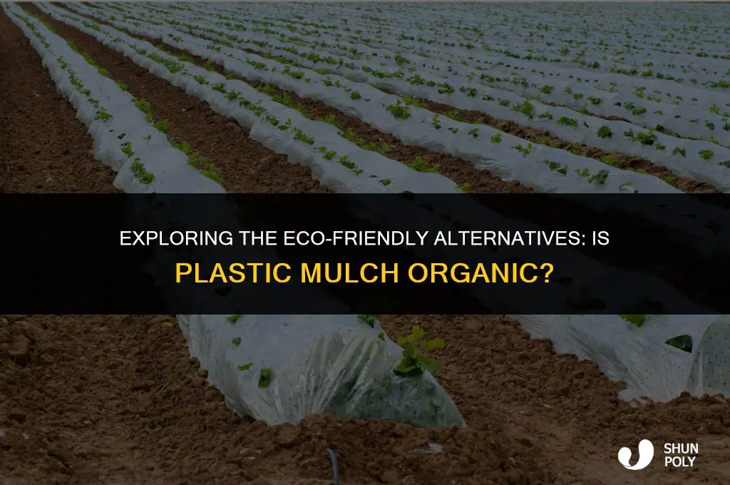 is plastic mulch organic