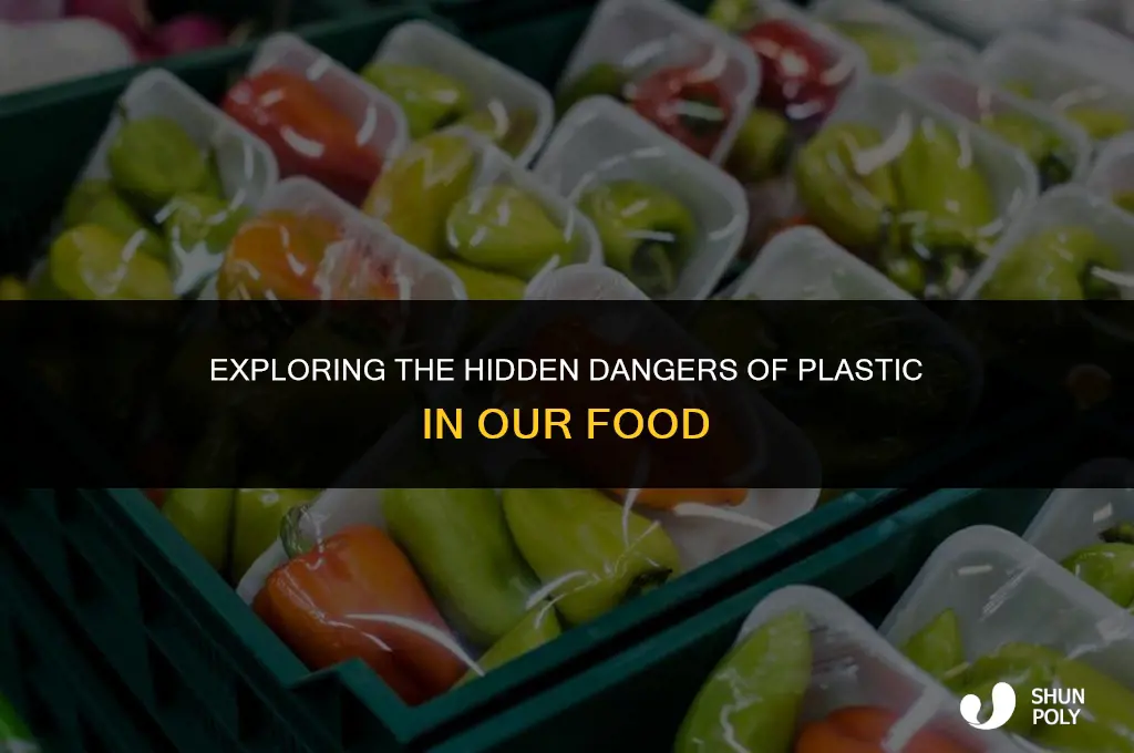 is plastic my food book