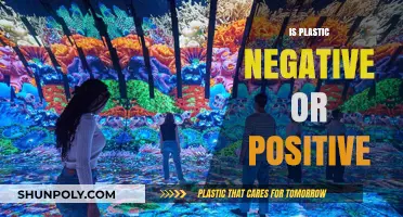 The Plastic Paradox: Unraveling Its Positive and Negative Impact