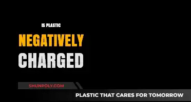 Unveiling the Truth: Is Plastic Negatively Charged?