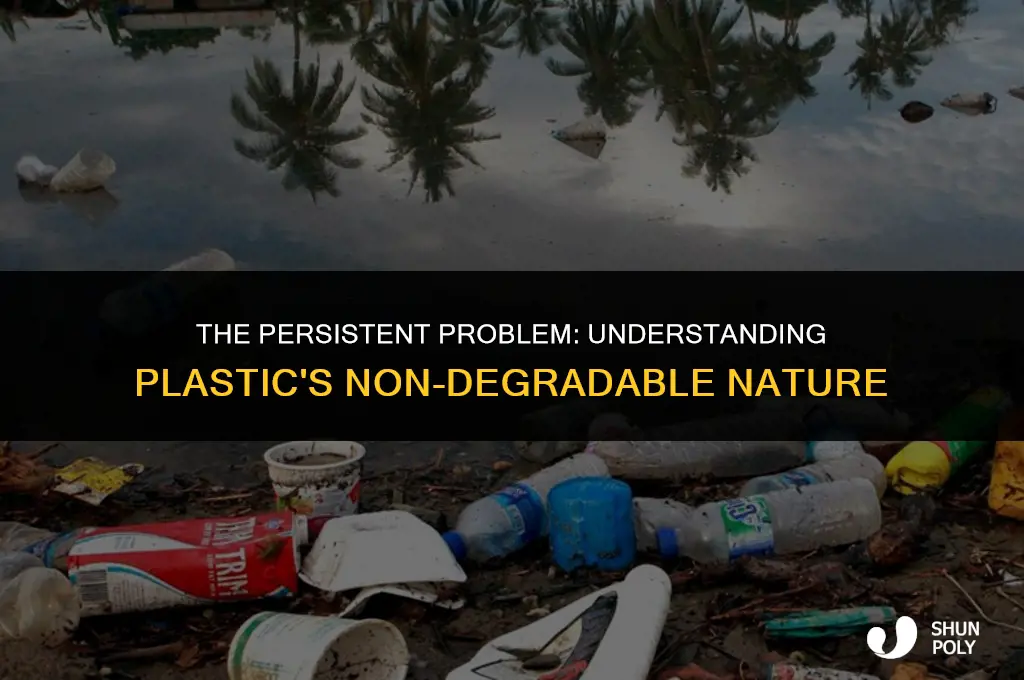 is plastic non degradeable