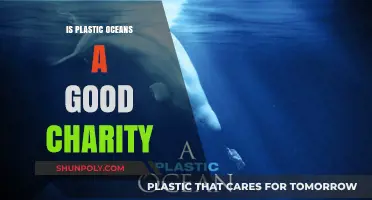 Plastic Oceans Charity: Is it Worth Supporting?
