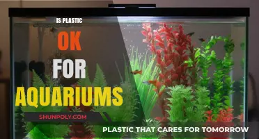 Exploring the Safety of Plastic in Aquariums: A Comprehensive Guide