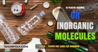 Plastic: Organic or Inorganic Molecule?