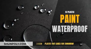 Plastic Paint: Waterproof or Not?