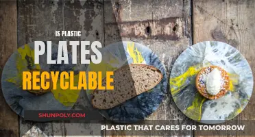 Are Plastic Plates Recyclable? Understanding Their Environmental Impact