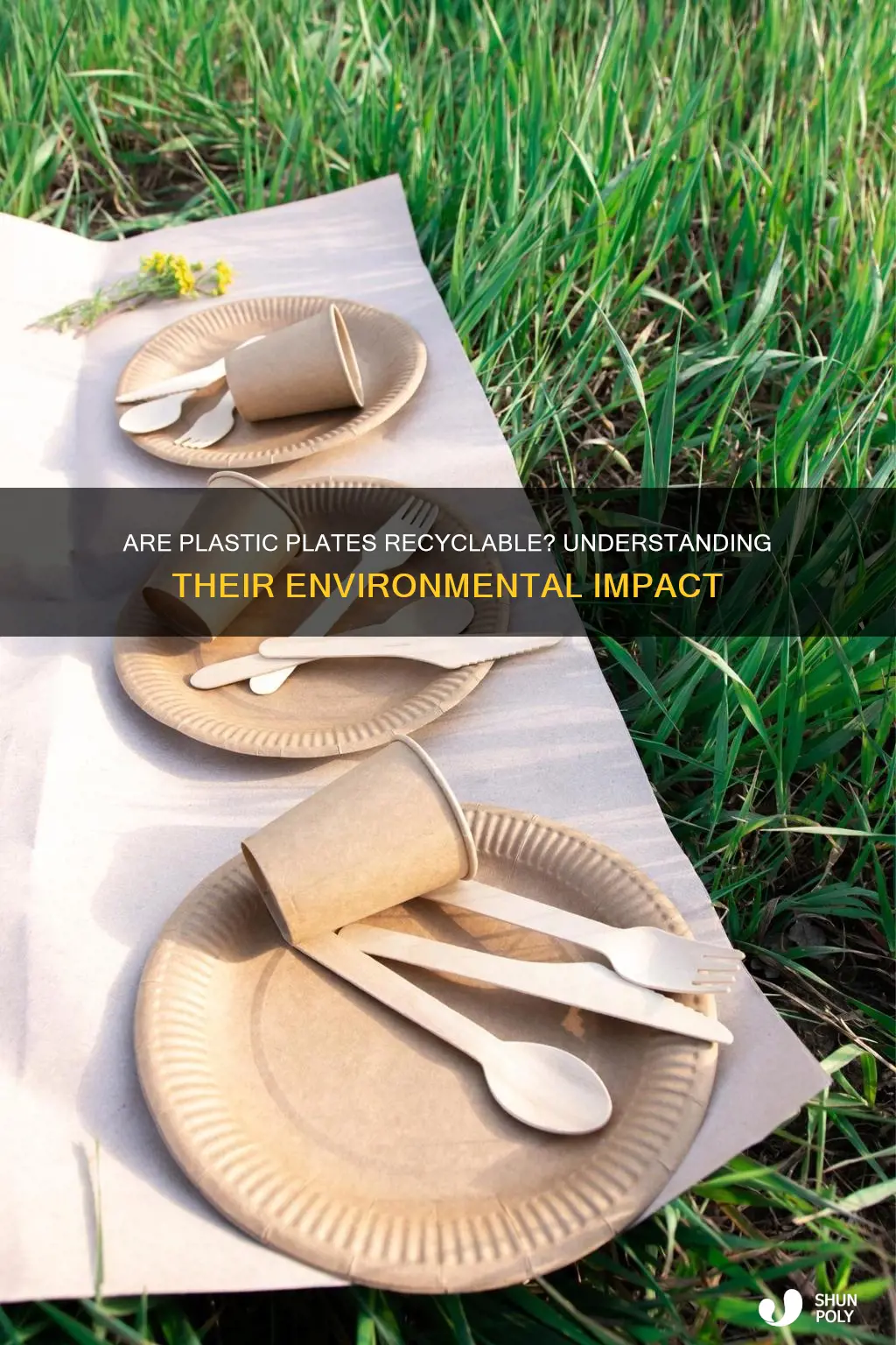 is plastic plates recyclable