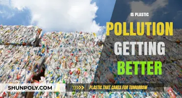 Is Plastic Pollution Improving? Analyzing Global Efforts and Progress