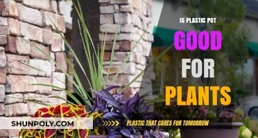 Plastic Pots: Good or Bad for Plants?