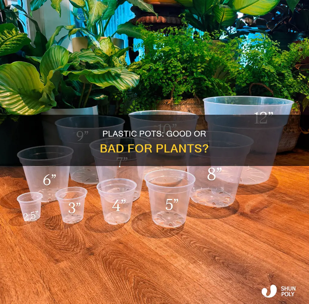 is plastic pot good for plants