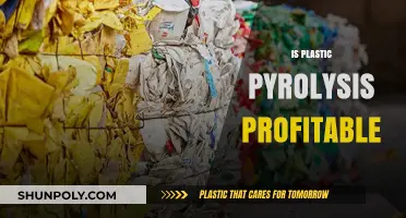 Exploring the Economic Viability of Plastic Pyrolysis: A Comprehensive Analysis
