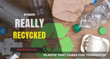 Unveiling the Truth: Is Plastic Truly Recycled?