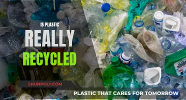 Unveiling the Truth: Is Plastic Recycling a Myth?