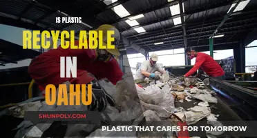Recycling Oahu's Plastic: What's Possible?