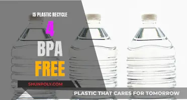 Plastic Recycling: Understanding BPA-Free Claims