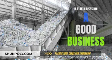 Plastic Recycling: A Viable Business Option?