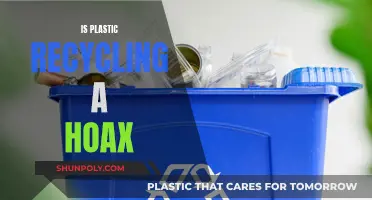Plastic Recycling: Greenwashing Hoax or Environmental Savior?