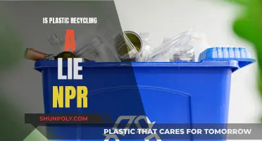 Plastic Recycling: Is It a Lie?