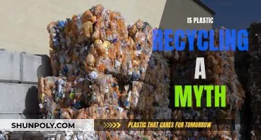 Plastic Recycling: Effective or Just a Myth?