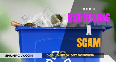 Plastic Recycling: Effective Solution or Elaborate Scam?