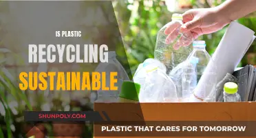 Plastic Recycling: Sustainable Solution or Environmental Challenge?