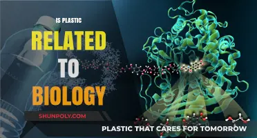 Exploring the Intersection of Plastic and Biology: A Scientific Journey