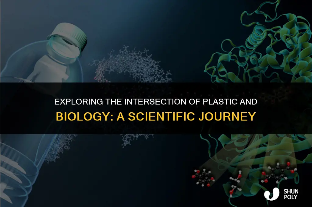 is plastic related to biology