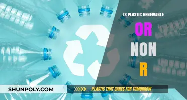 The Plastic Paradox: Renewable or Not?