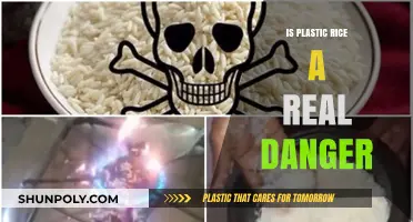 Plastic Rice: Real Danger or Urban Myth?