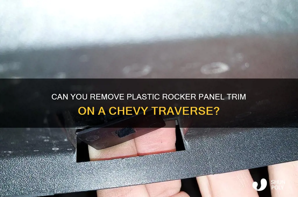 is plastic rocker panel trim on chev traverse removable