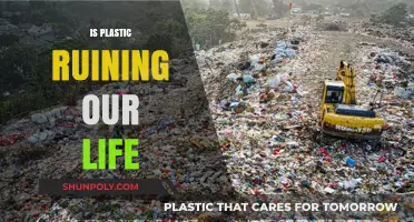 The Plastic Predicament: How Single-Use Plastics Threaten Our Planet