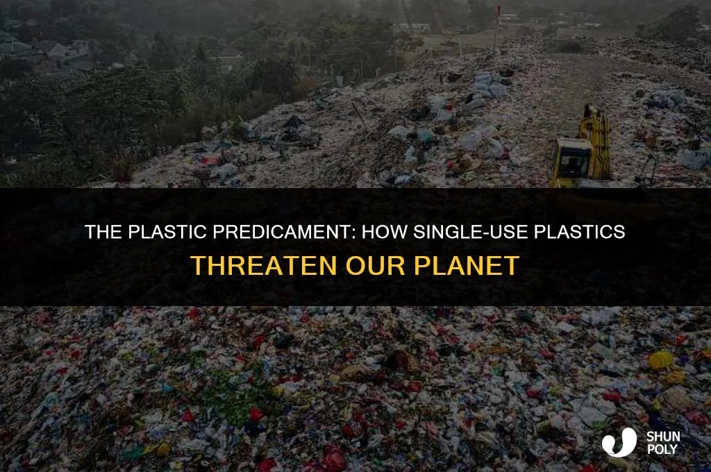 is plastic ruining our life