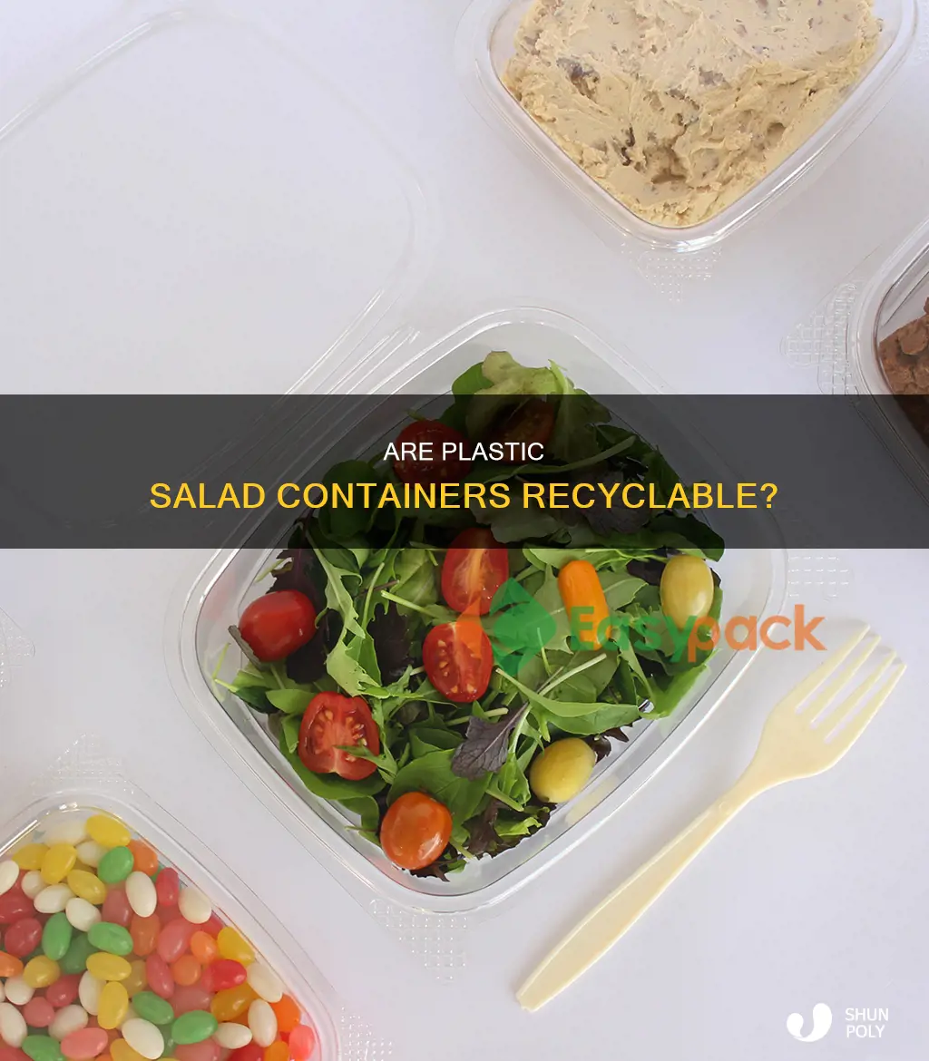is plastic salad container recyclable