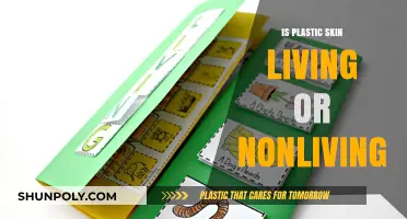 Plastic Skin: Living or Non-Living?