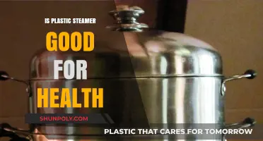 Plastic Steamers: Healthy or Hazardous?