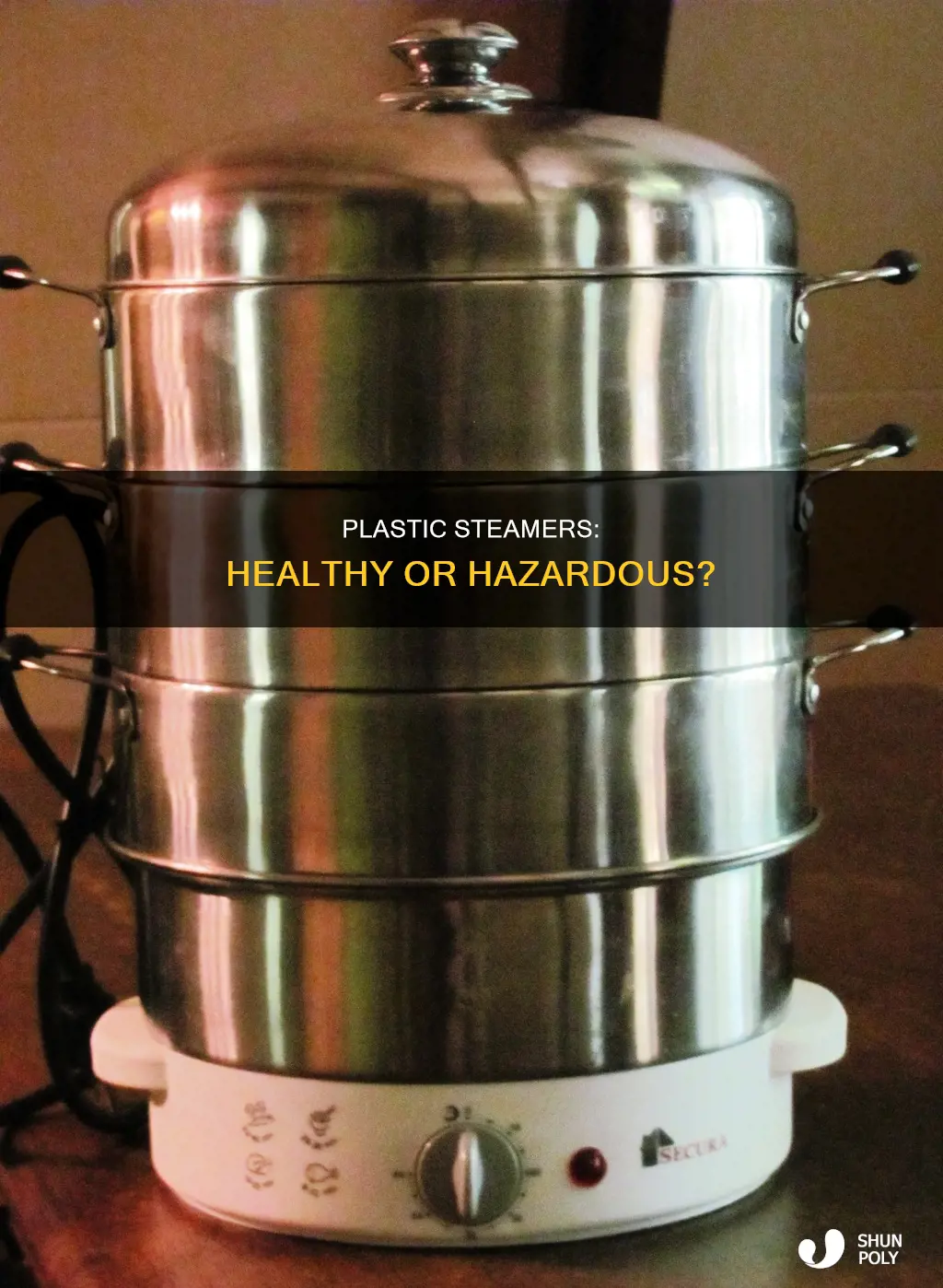 is plastic steamer good for health