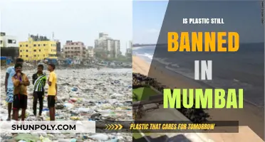 Mumbai's Plastic Ban: Still Effective?