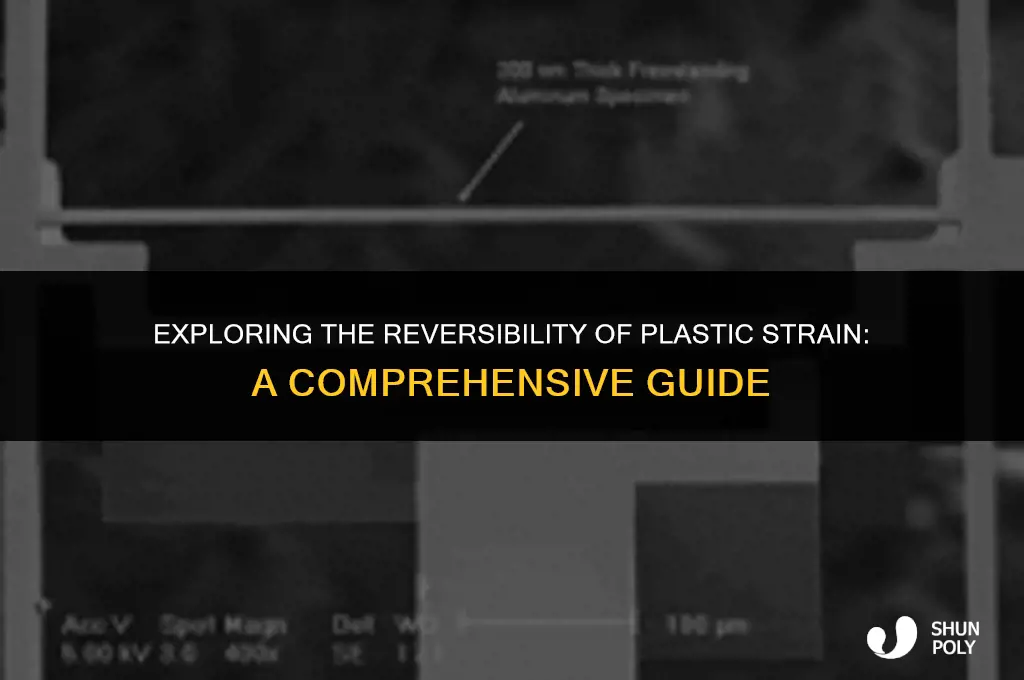is plastic strain recoverable