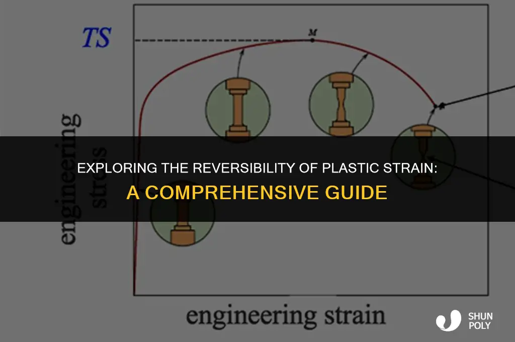 is plastic strain reversible