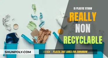 Plastic Straws: Truly Non-Recyclable?
