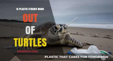 Debunking Myths: Are Plastic Straws Really Made from Turtles?