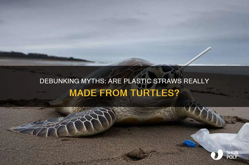 is plastic straws made out of turtles
