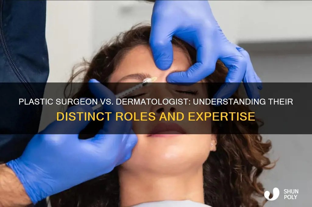 is plastic surgeon a dermatologist