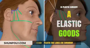 Is Plastic Surgery an Elastic Good? Exploring Demand and Flexibility